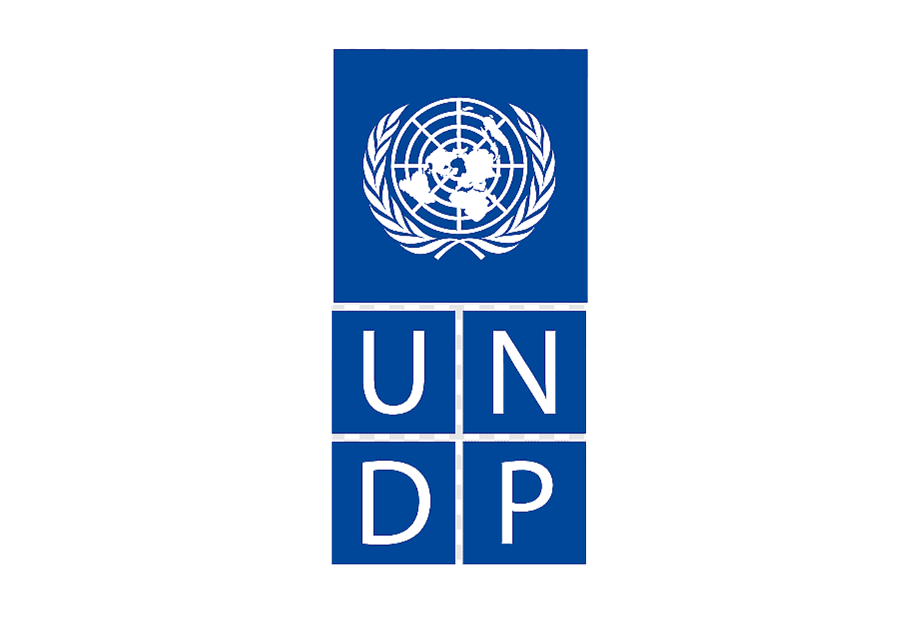 https://www.undp.org/home