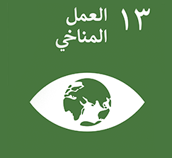 محاور الدورة الثالثة