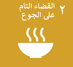 محاور الدورة الثانية