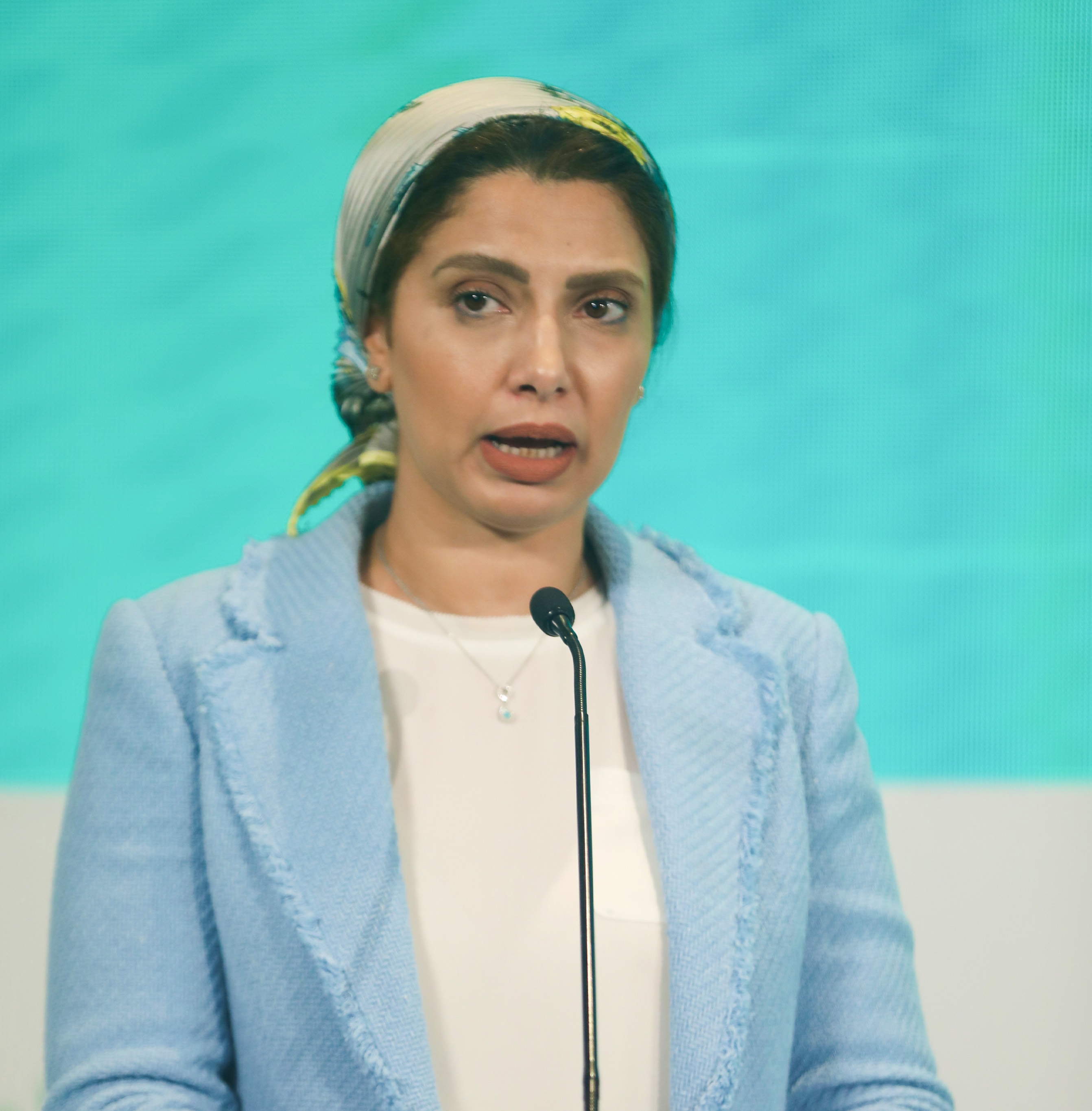 Her Excellency
Ms. Hoda El Bakr