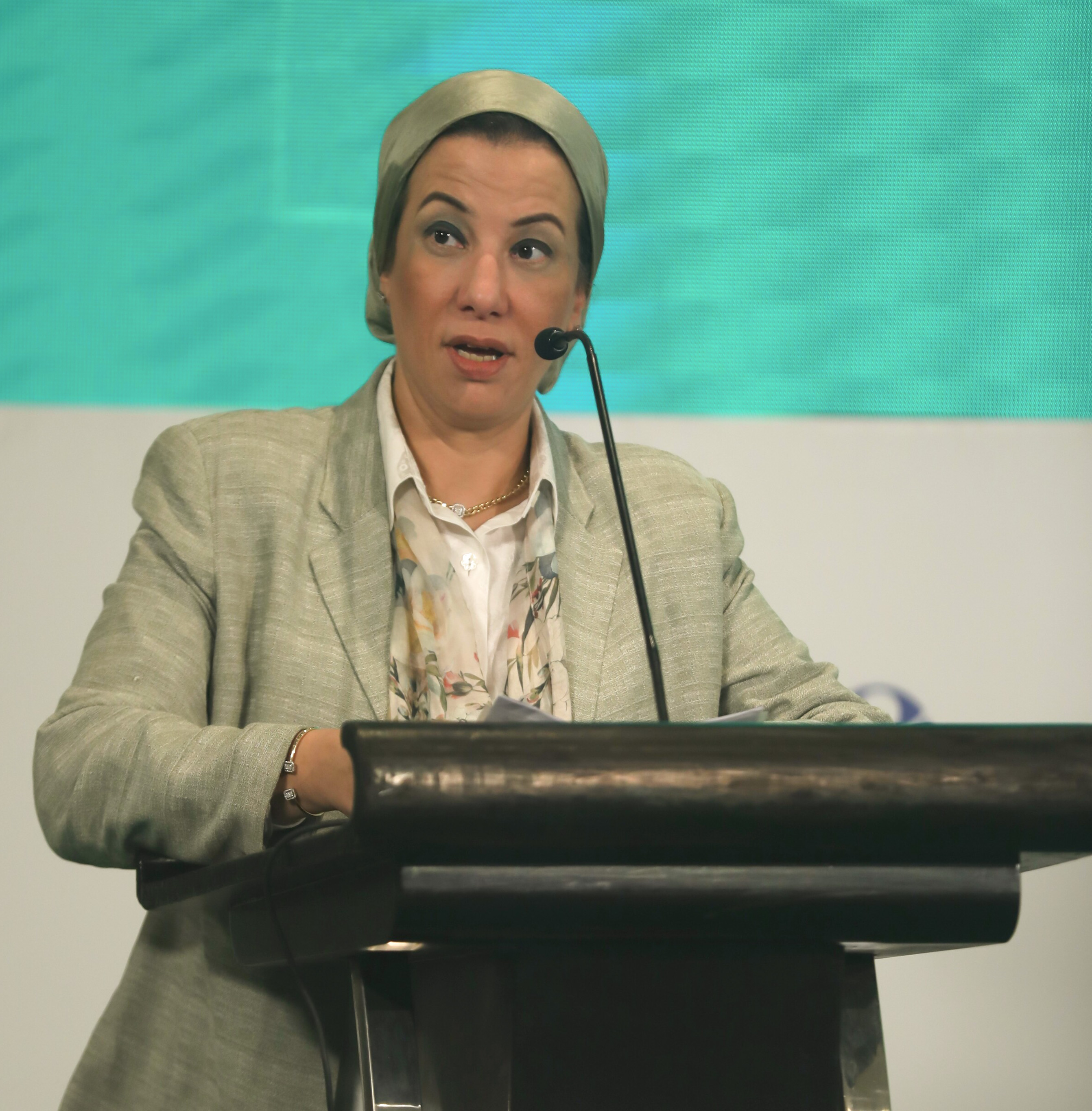 Her Excellency
Dr. Yasmine Fouad