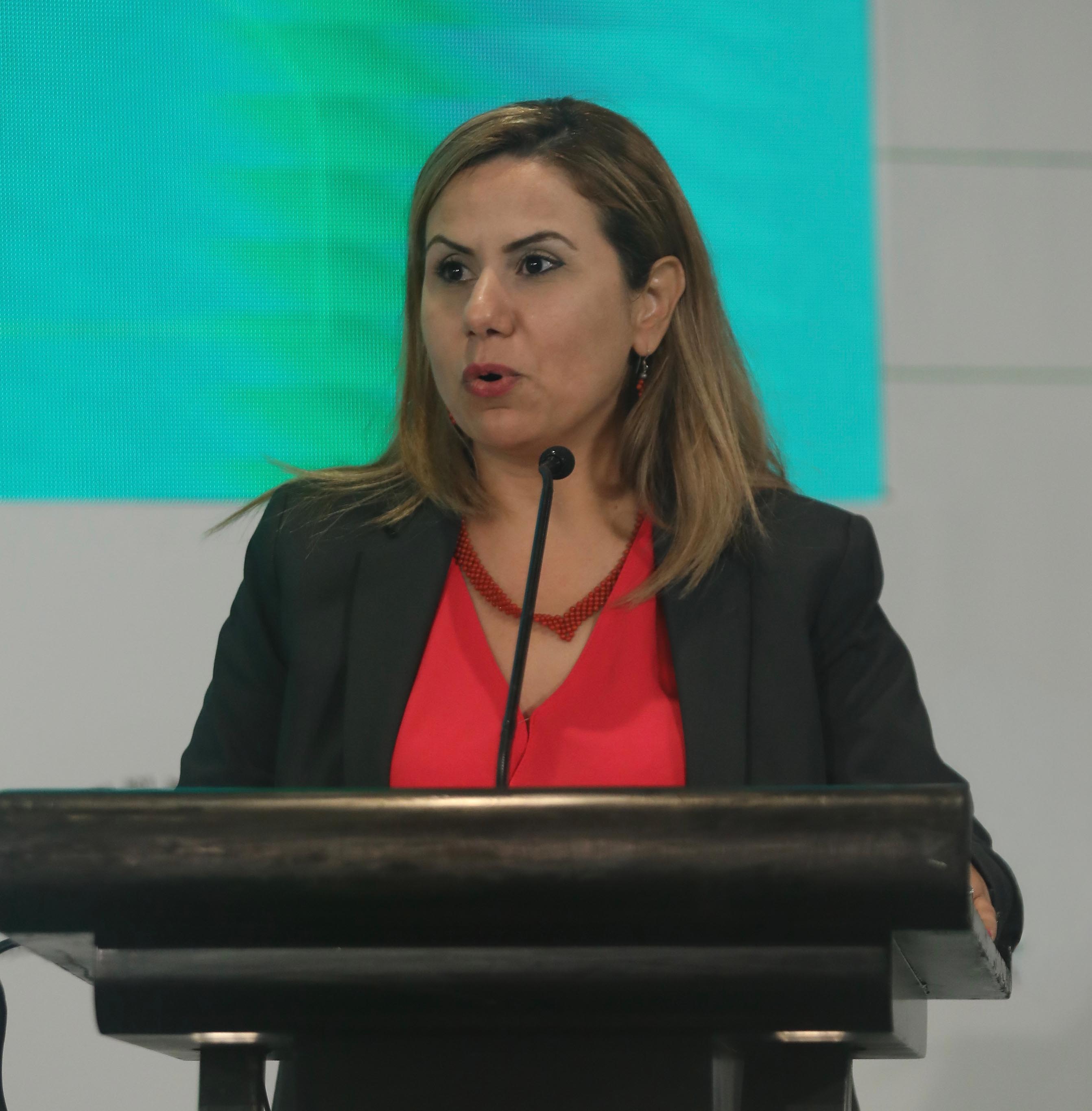 Mrs. Salwa Sahloul