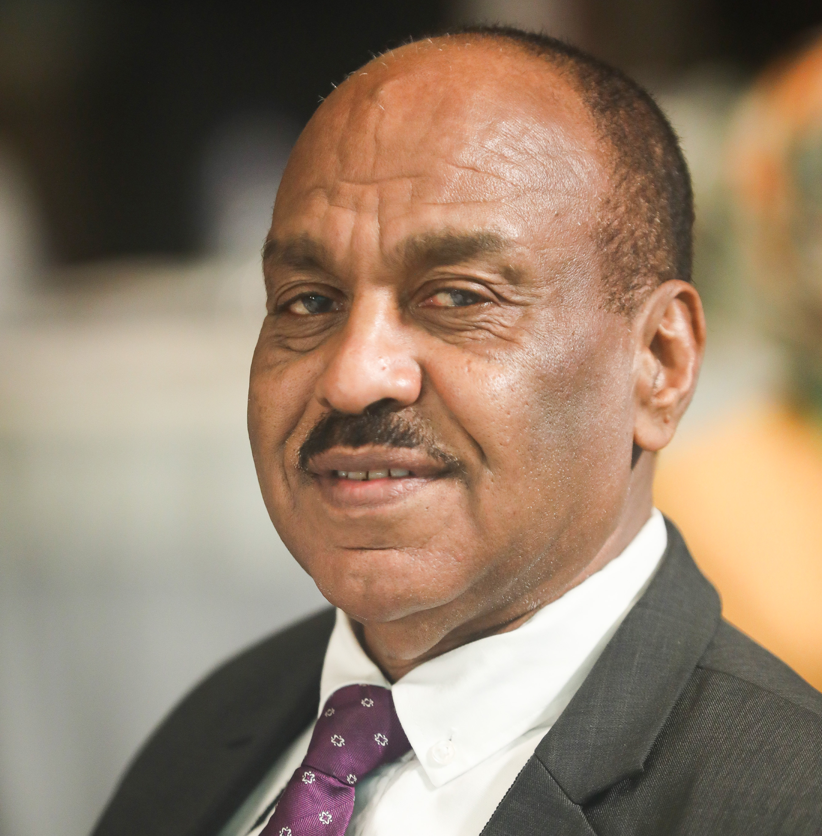Prof. Badr Al-Deen Ibrahim