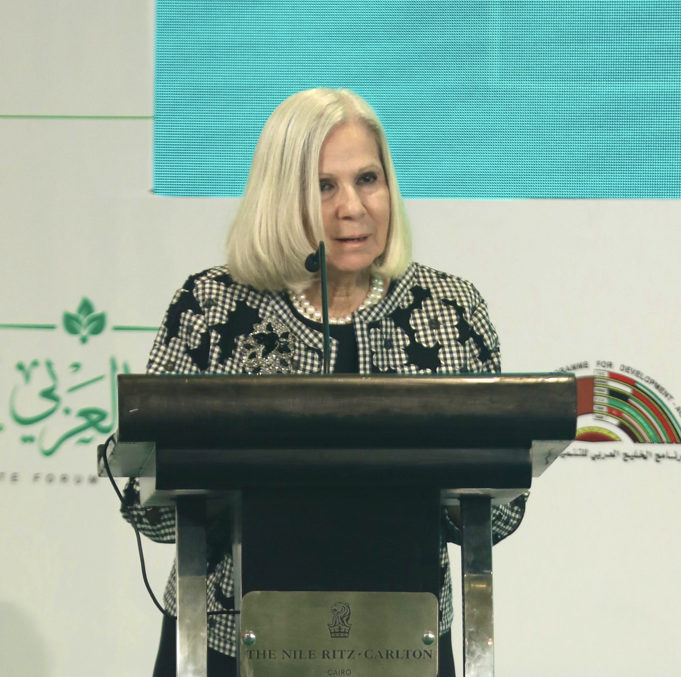 H.E. Ambassador
Dr. Haifa Abu Ghazaleh